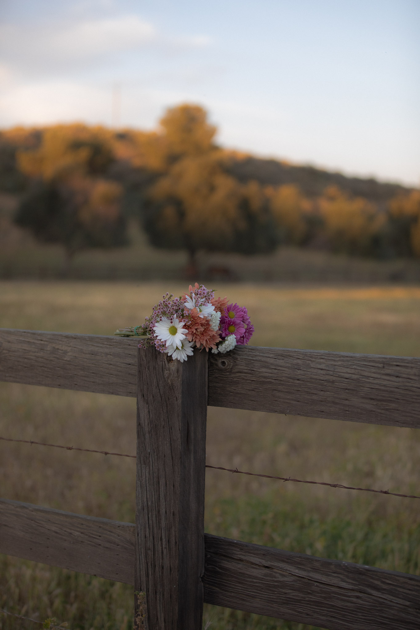 Flowers on a rustic fence post